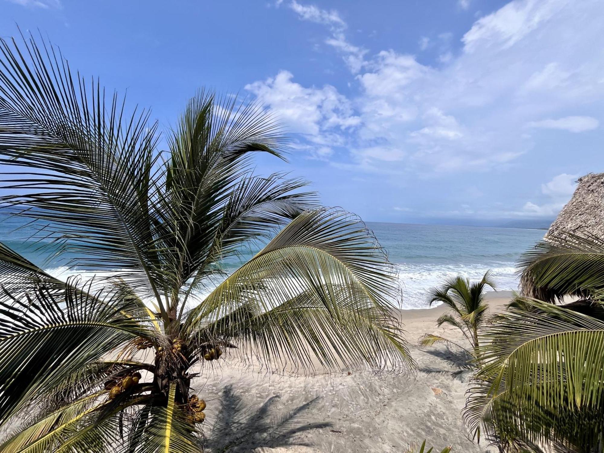 The Shark Cabana Frente Al Mar Los Naranjos Exterior photo